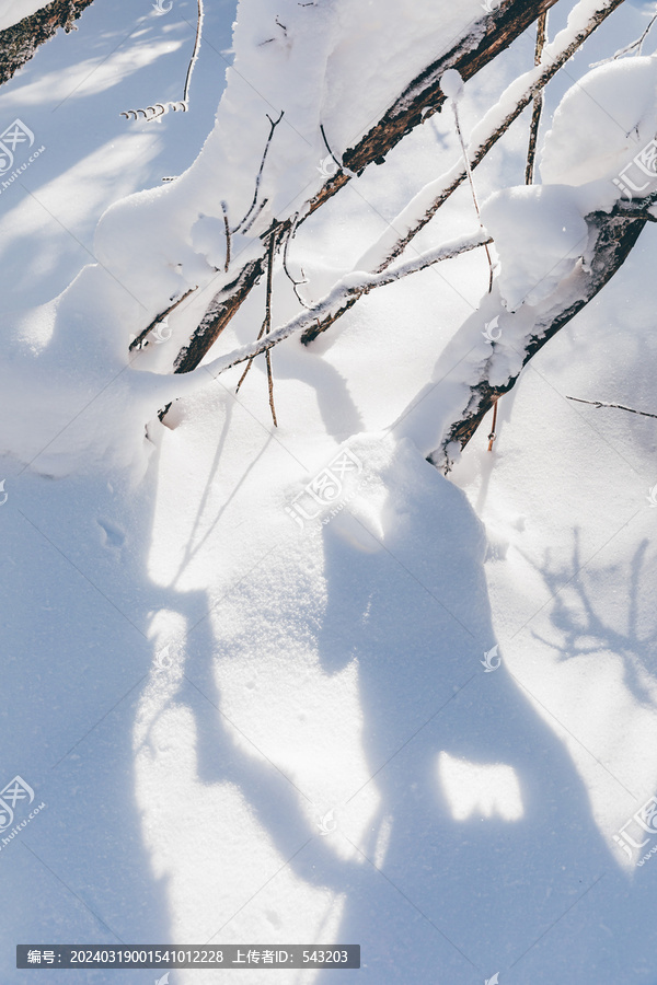 冬季天森林雪景树挂东北老里克湖