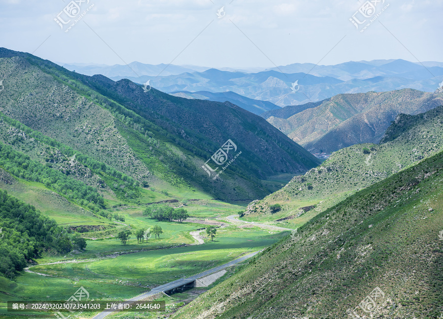 大青山阴山北坡桦树林