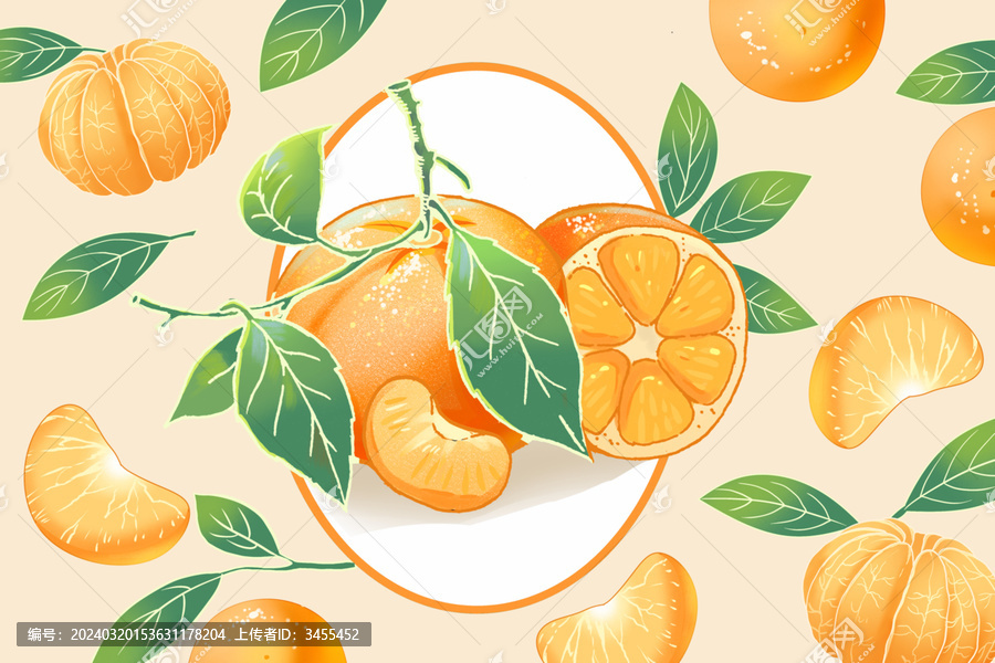 橘子包装插画