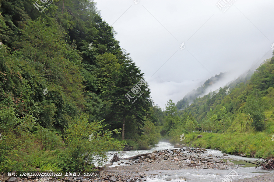 青山溪水