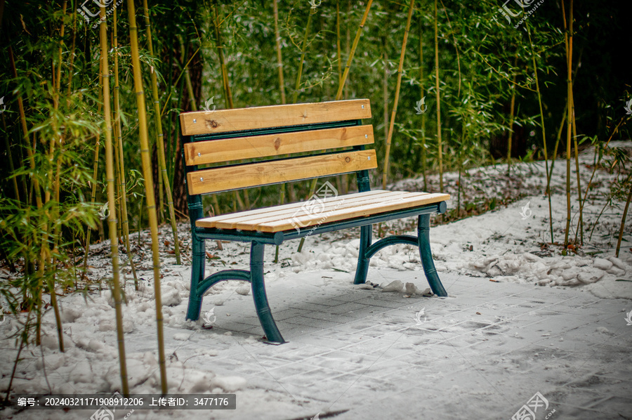 雪后公园竹林里的长椅