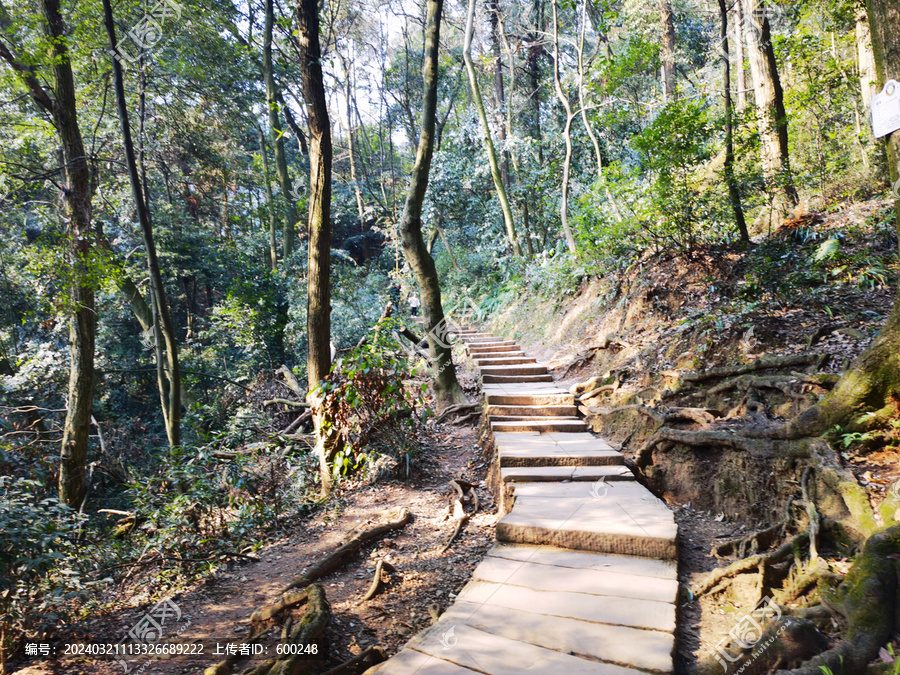 山间石板路