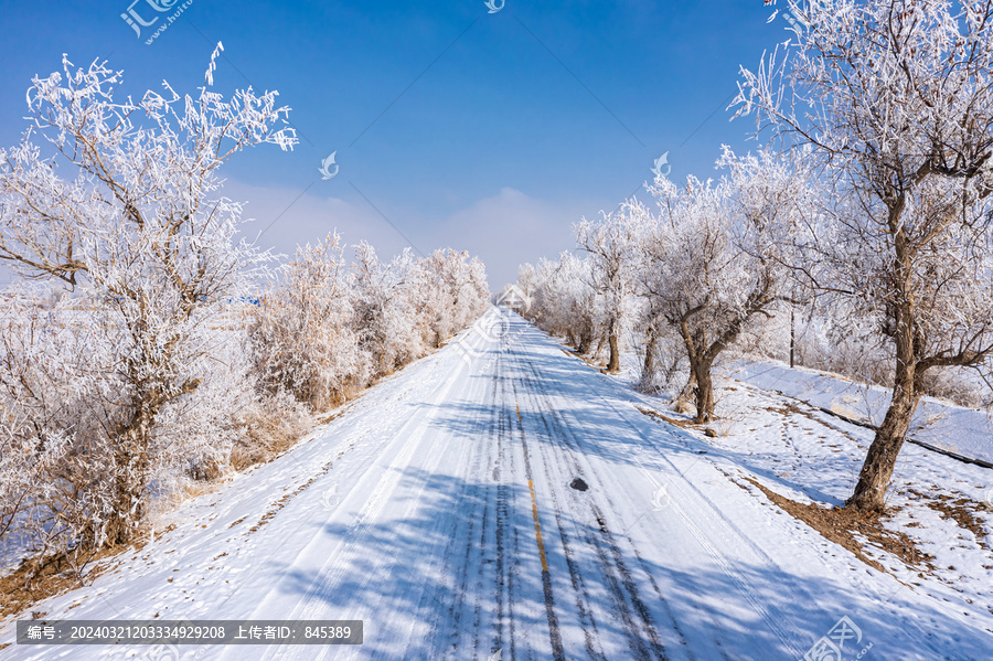 北方冬天农村林间道路雪景