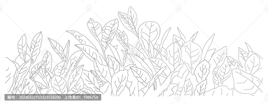 茶葉線稿矢量