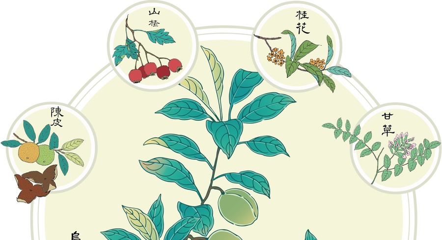 酸梅湯插畫