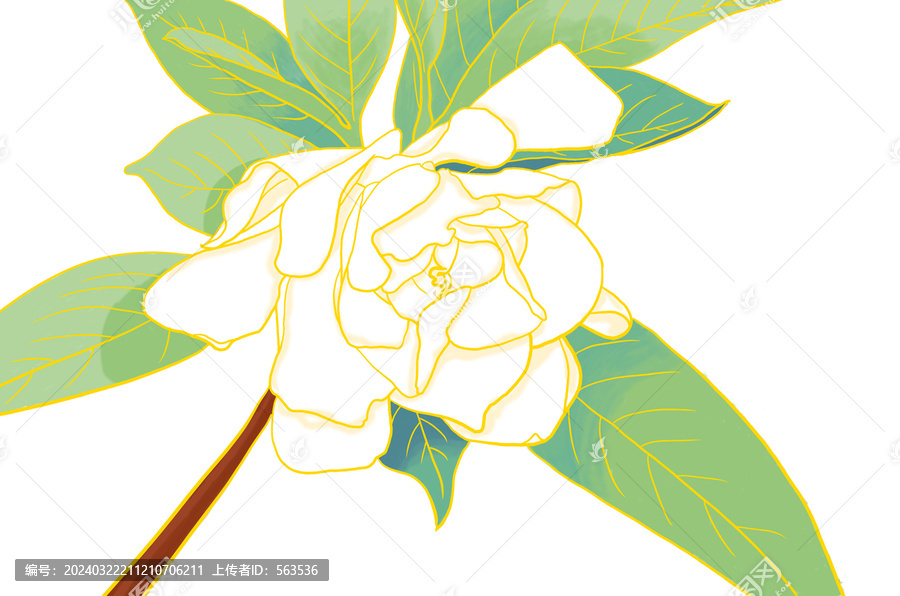 梔子花