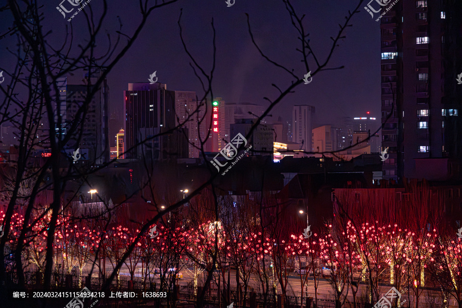 城市夜景红灯笼树风景6K素材