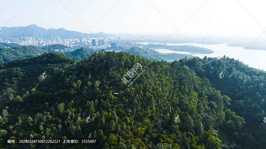 大雁山森林公园