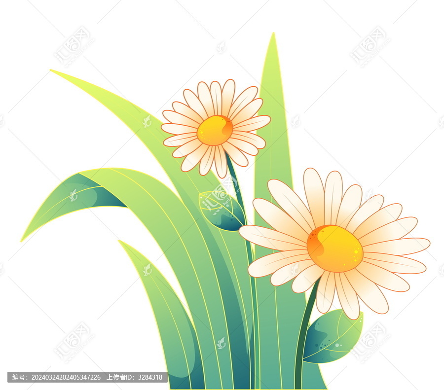 矢量描邊鮮花野菊花卡通插畫