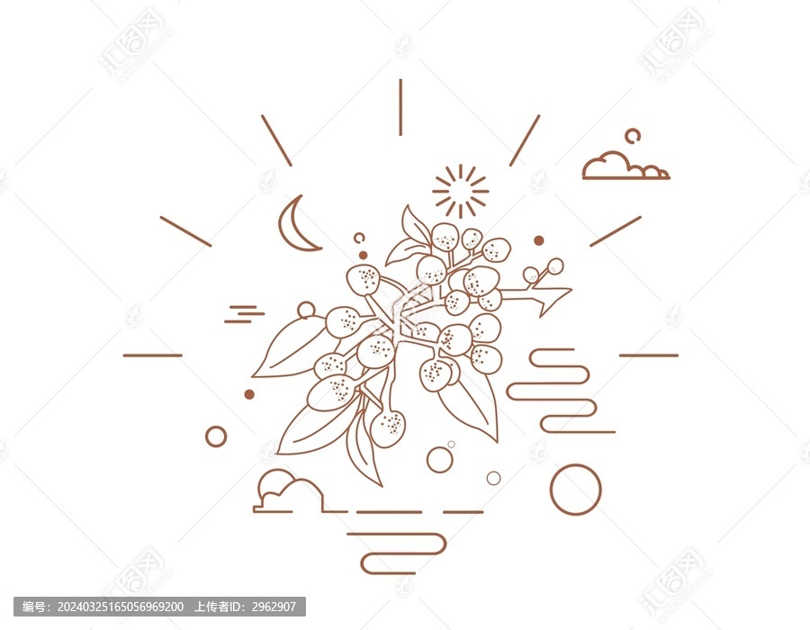 花椒