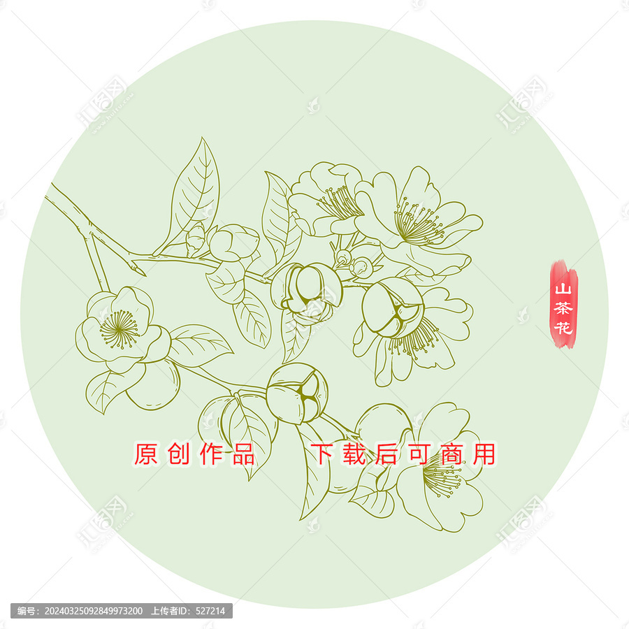 山茶花線稿