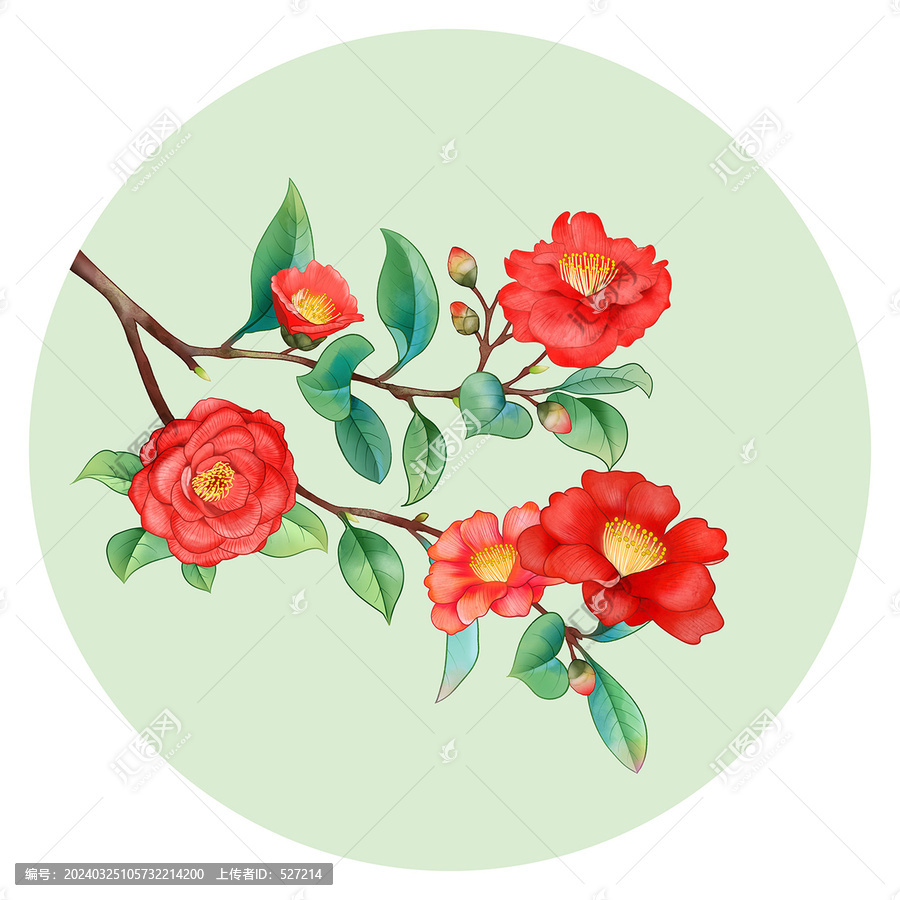 山茶花