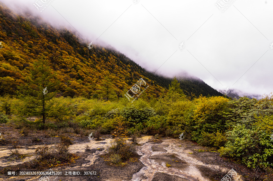 四川黄龙风光