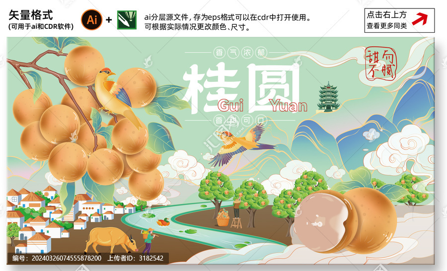龍眼包裝插畫(huà)