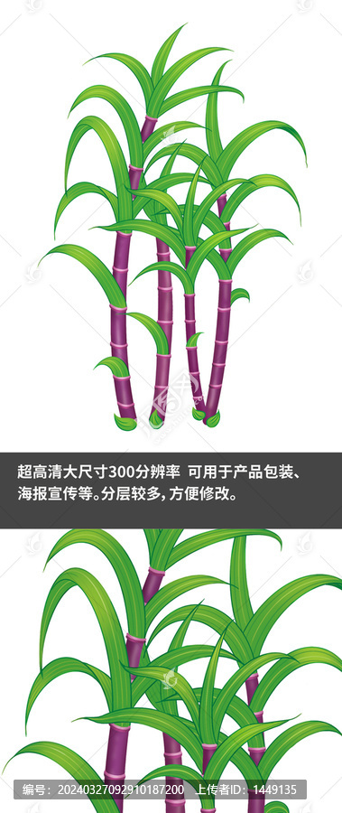 甘蔗插畫