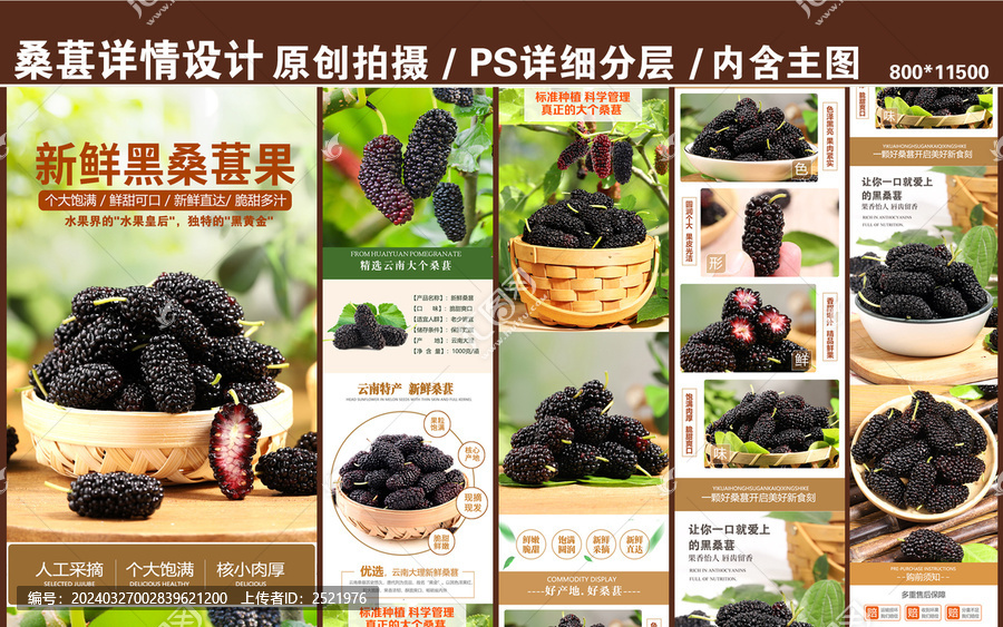 桑葚詳情