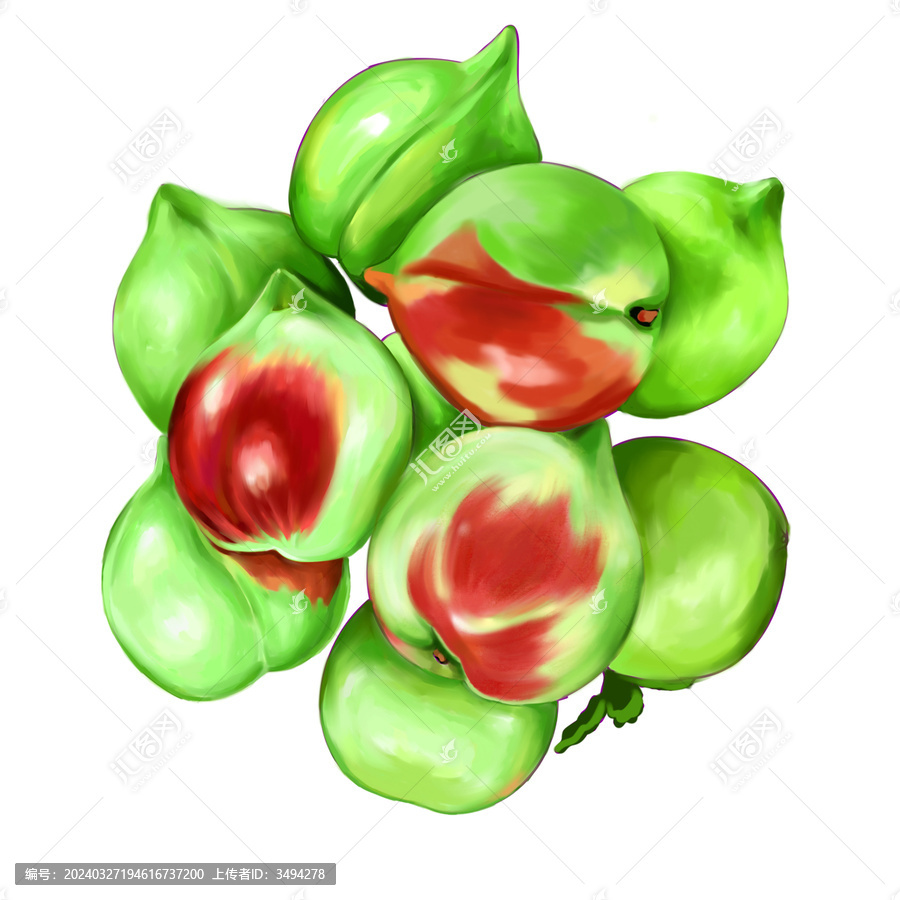 青桃插畫
