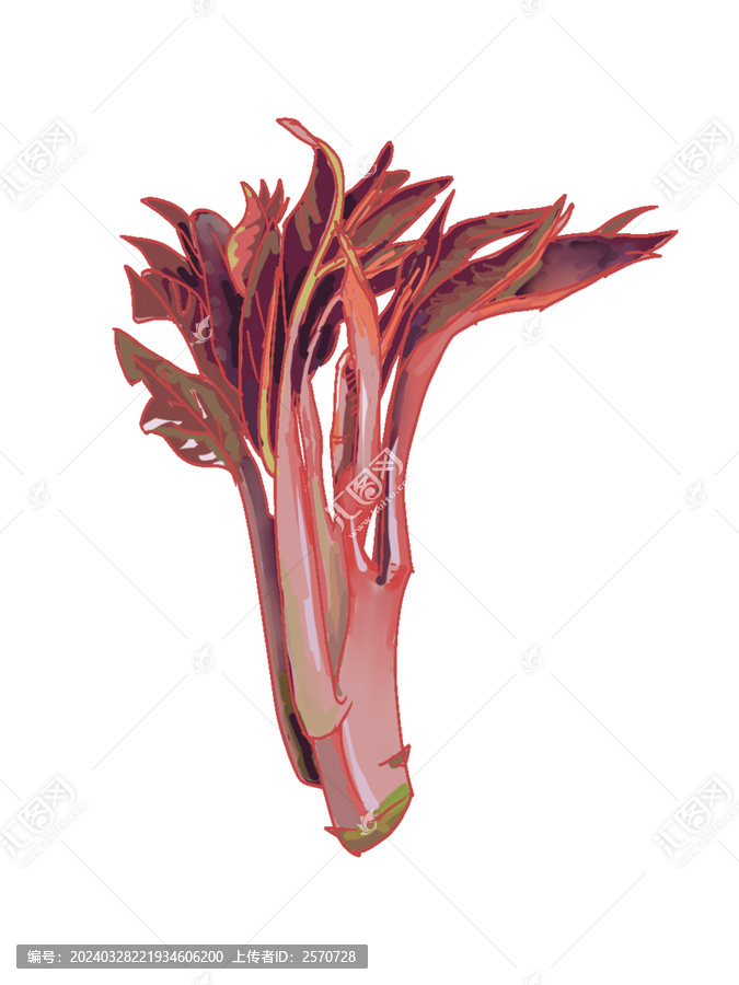 手繪香椿