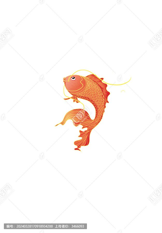 鯉魚(yú)錦鯉
