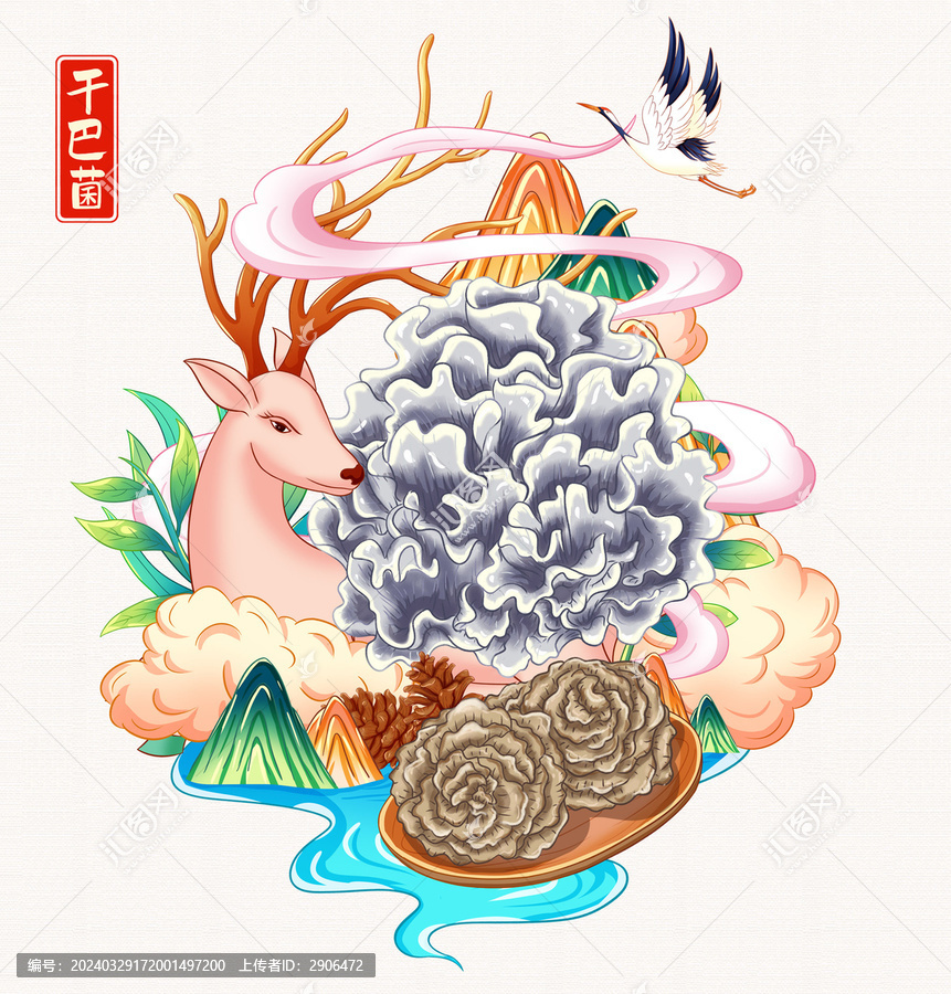 干巴菌插畫(huà)手繪