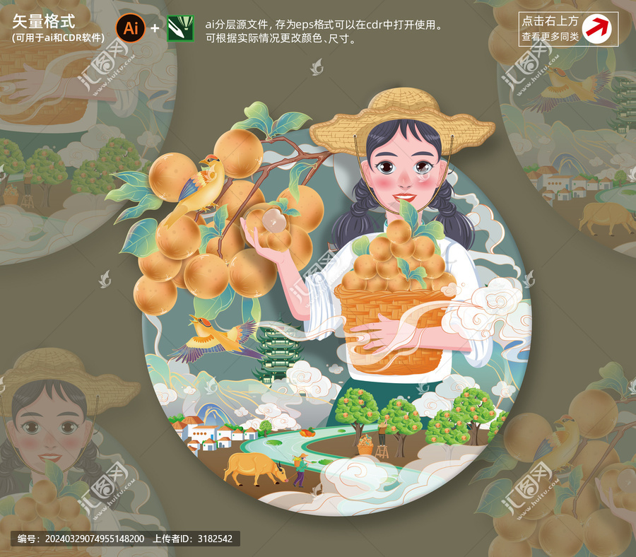 龍眼插畫