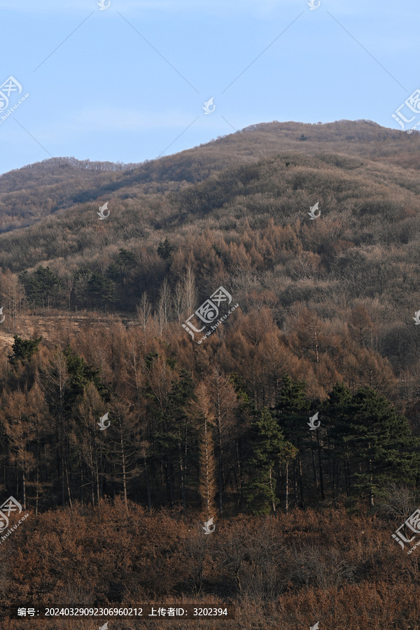 春季的铁岭象牙山