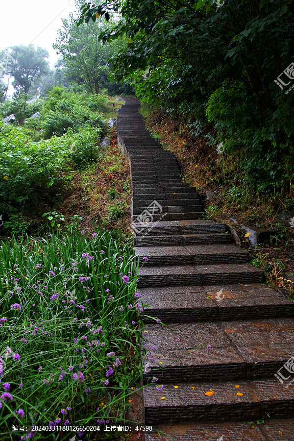 登山小路