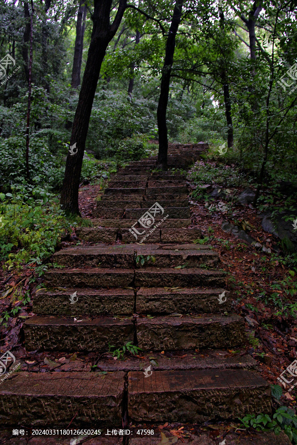 登山石板路