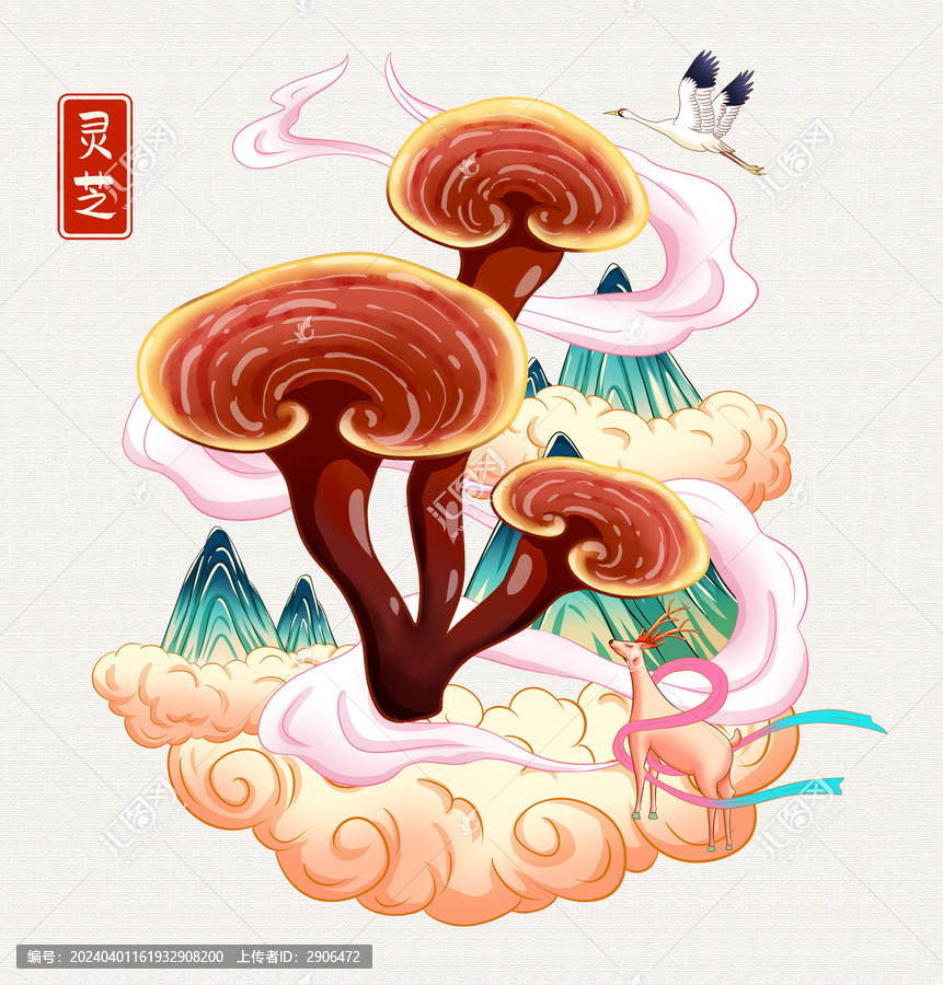 灵芝插画手绘