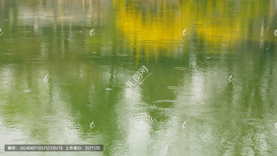 雨中的水面