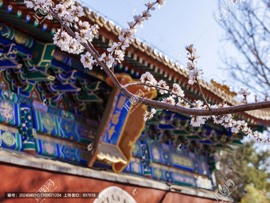 北海公園闡福寺