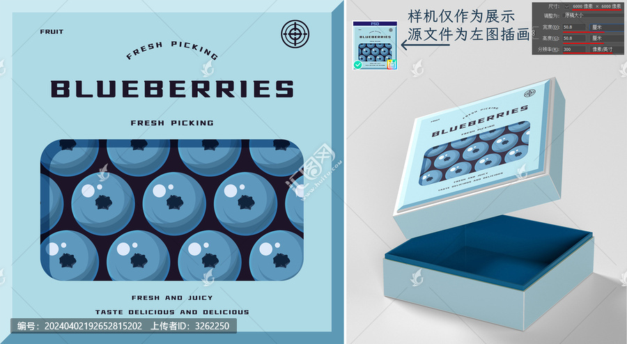 藍莓禮盒包裝方形藍莓插畫禮盒
