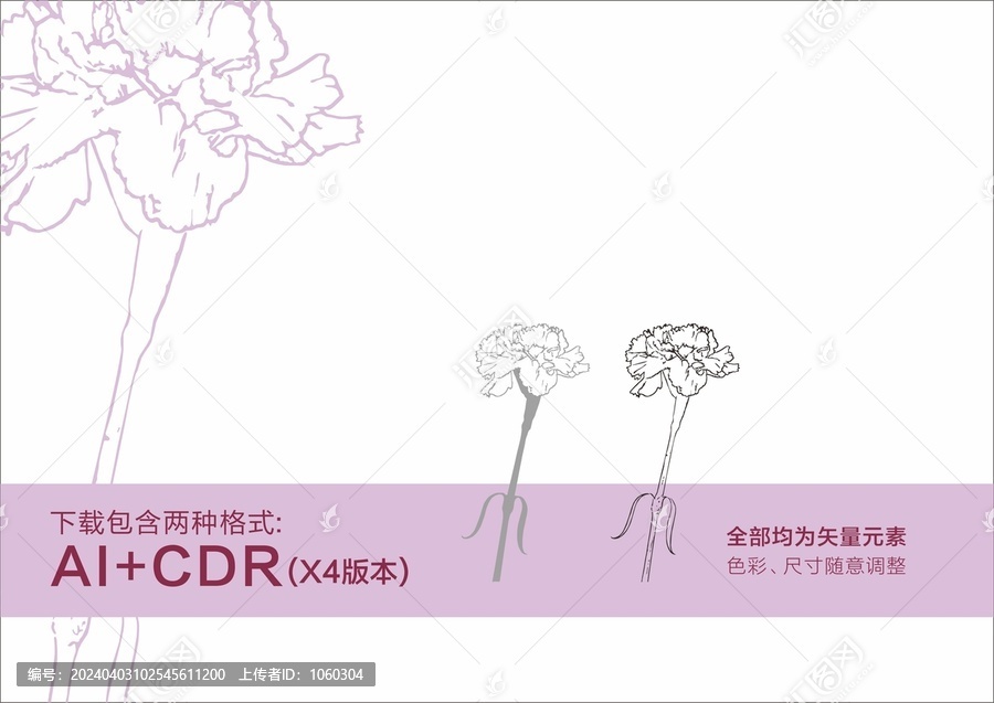 康乃馨