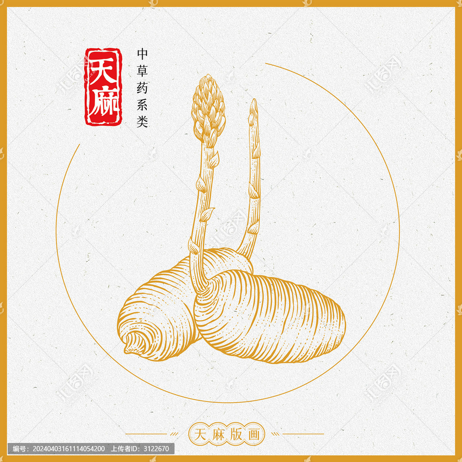 天麻