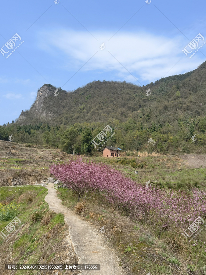 田园桃花