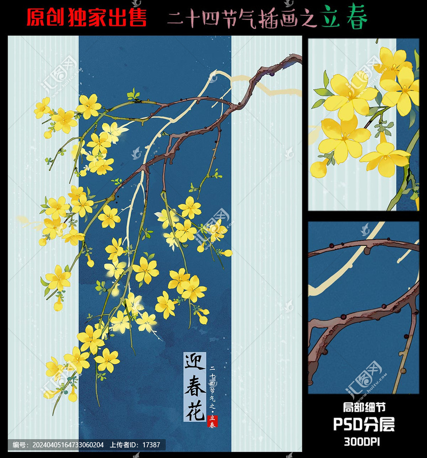 24節(jié)氣立春迎春花