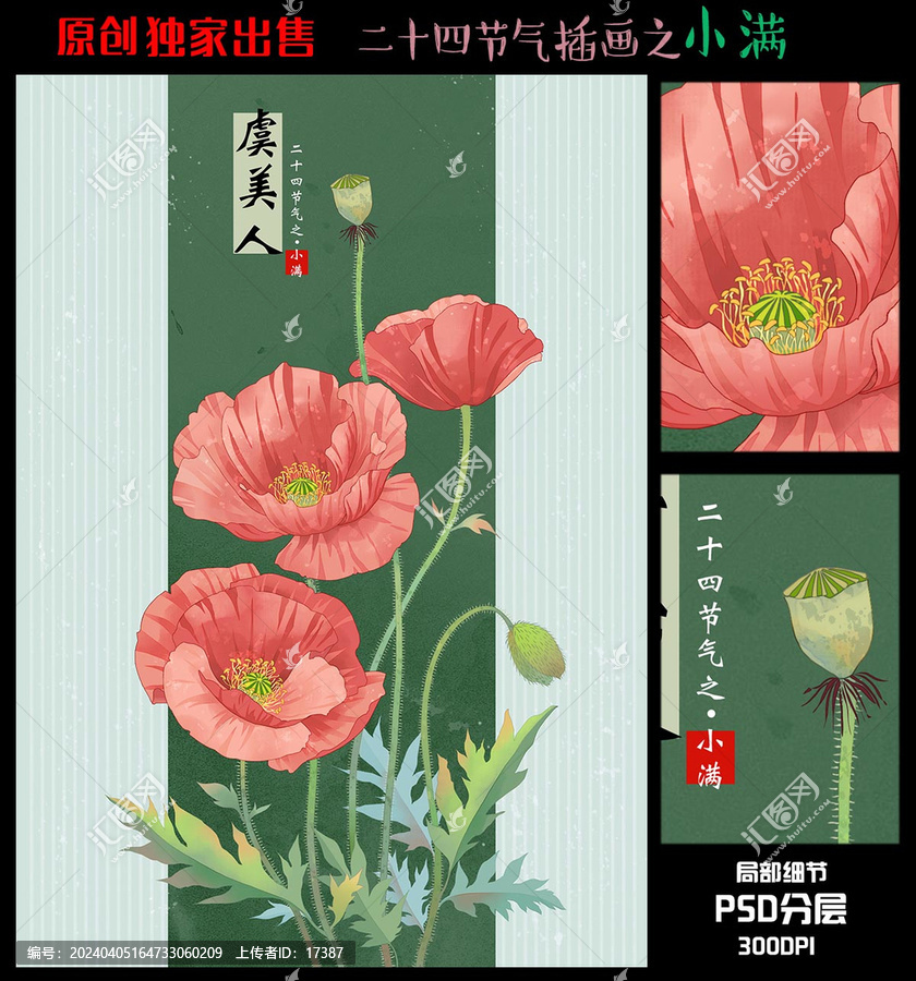 24节气小满虞美人