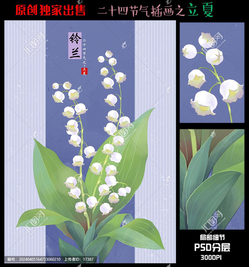 24節(jié)氣立夏鈴蘭