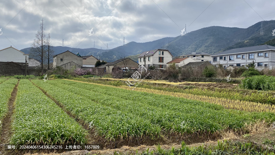 乡村美景