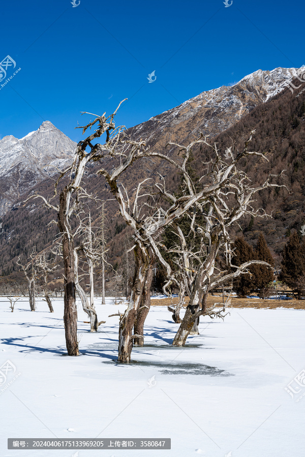 四姑娘山风景