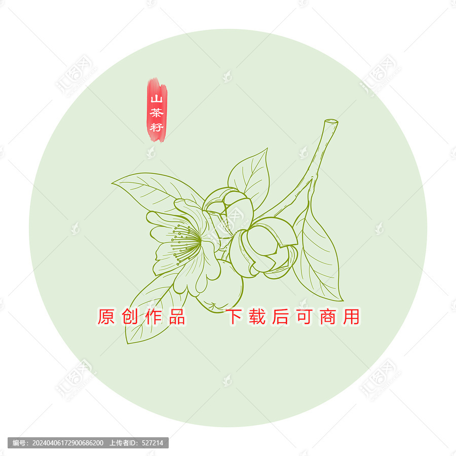 山茶花線稿