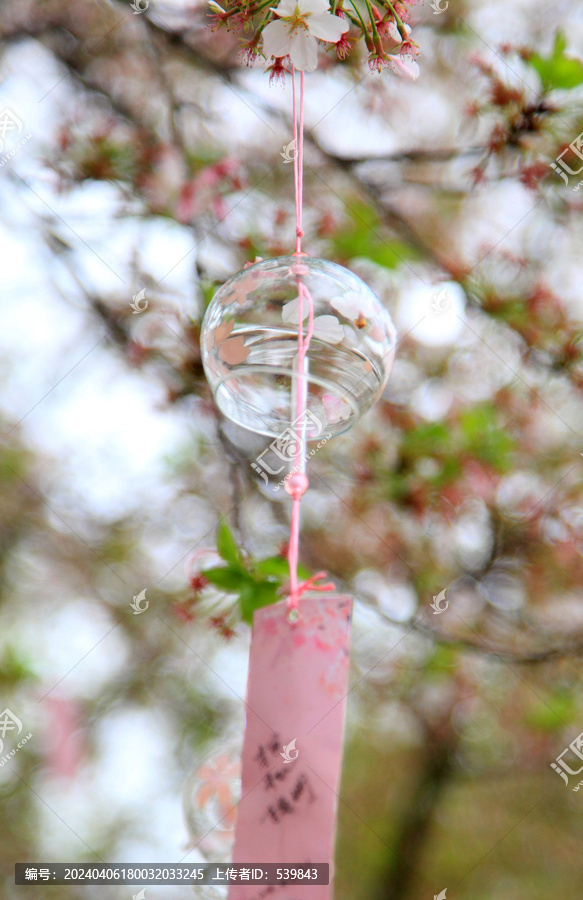 樱花风铃