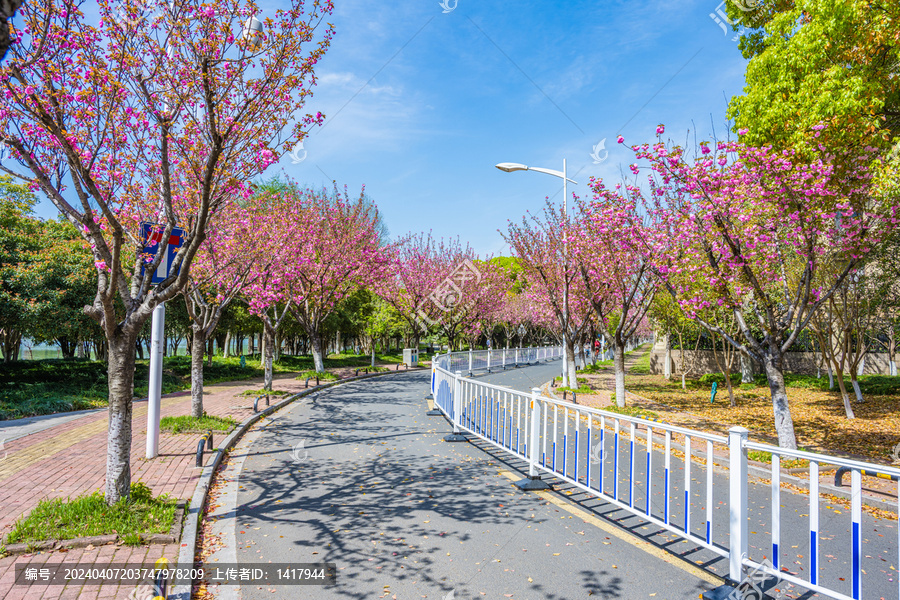 道路护栏隔离栏