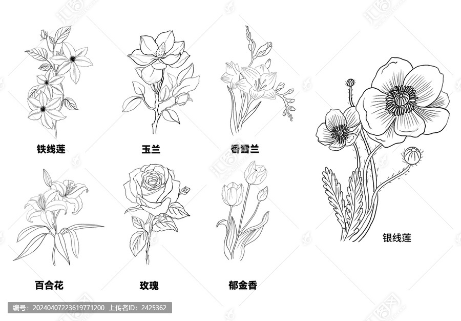 花卉線稿