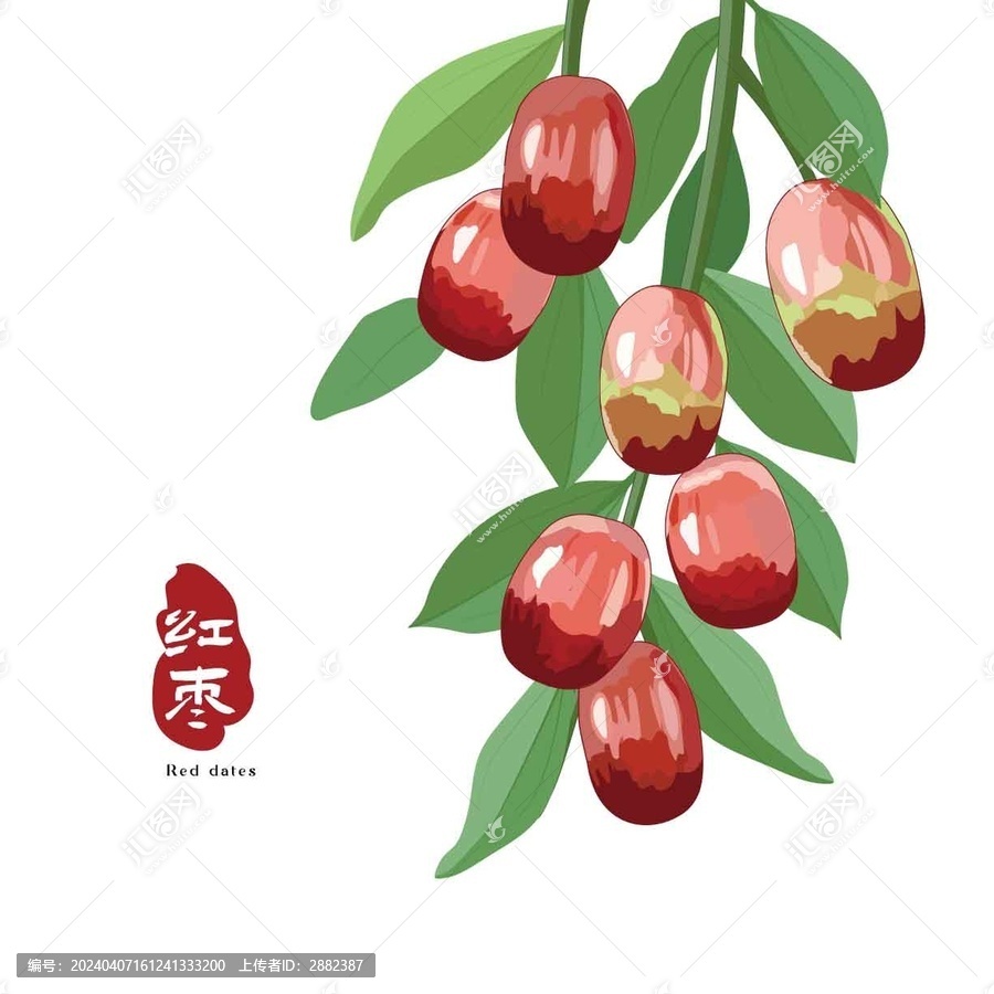 紅棗棗棗子青棗紅棗插畫紅棗手繪