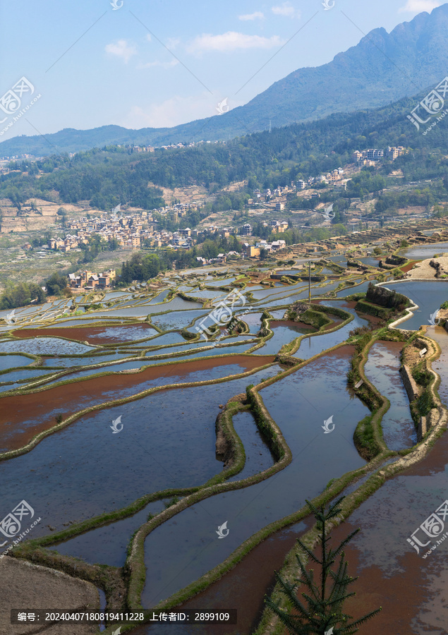 云南红河元阳梯田