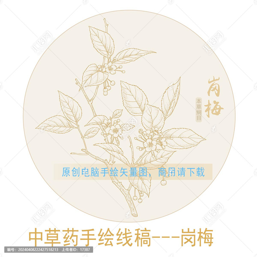 崗梅線稿