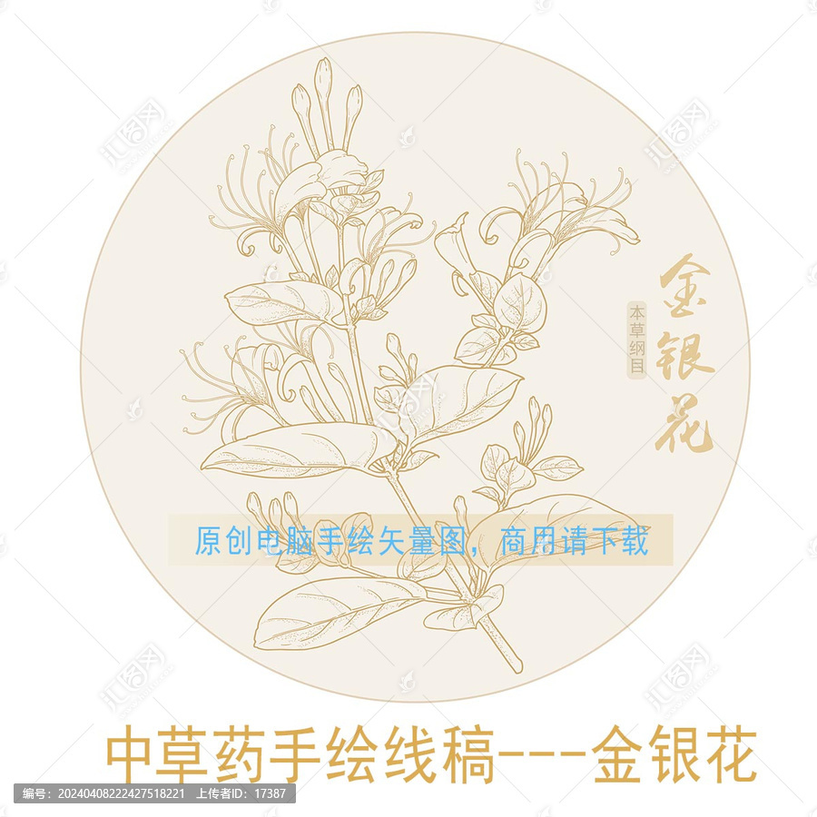 金銀花線稿