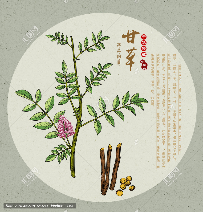 甘草插畫
