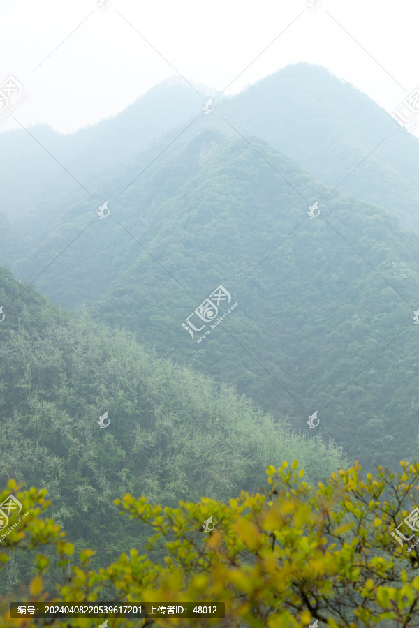 秦岭春山